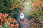 ボートの秋！レンタルボートの「ヤマハ シースタイル」特別入会キャンペーン実施中！